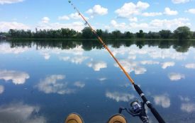 Заборона на вилов риби діятиме на Тернопільщині з 1 квітня