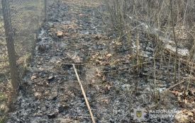 На Тернопільщині загинув чоловік, коли спалював суху траву. Ще один — постраждав (оновлене)
