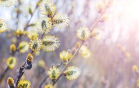 Тернопіль оновив температурний рекорд 49-річної давнини