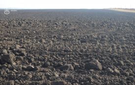 Землю на Монастирищині, вартістю майже мільйон, суд повернув громаді, бо в аграрія виявили порушення