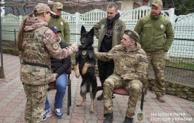 Шукають людей, вибухівку та підтримують ветеранів у відновленні: історії з кінологічного центру Тернополя