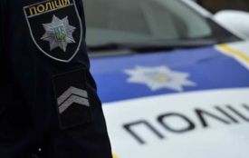 Загибель котів у Касперівцях розслідує поліція