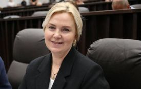 Півтора мільйона доходу й авто за 800 тисяч: що ще декларує нова заступниця Пастуха