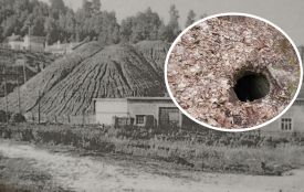 Містичні пастки в Кременецьких лісах: туристів попередили про небезпеку