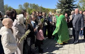 За тиждень — Великдень: що треба знати про Вербну неділю та куди подіти освячену в цей день вербу