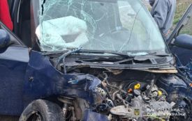 У Кровинці тернополянин за кермом Skoda врізався у вантажівку: постраждав пасажир