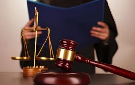 Отримала 60 тисяч допомоги, приховавши купівлю землі: судили багатодітну матір