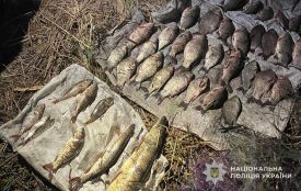 Наловили риби на 100 тисяч: за браконьєрство у Тернополі затримали чоловіка, на Зборівщині — жінку