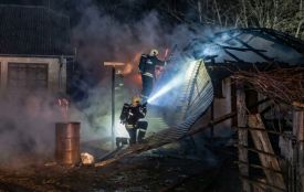 У пожежі на Чортківщині загинули свійській тварини