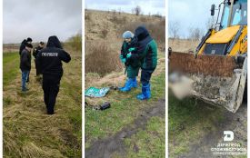 Поблизу Підгороднього виявили двох загиблих тварин