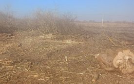 Сільського голову підозрюють у пошкодженні регіонального парку «Загребелля» — збитки на понад 8 мільйонів