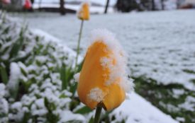 На Великдень — дощі з мокрим снігом: оголосили помаранчевий рівень небезпеки на Тернопільщині