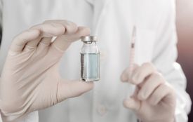 У Бучачі через сказ у собаки ввели карантинні обмеження