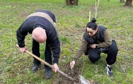 У парку «Сопільче» висадили 30 молодих дубів