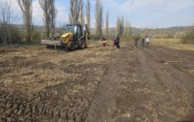 У Чорткові з'явиться великий горіховий сад