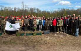 Алея пам’яті: у Скалатському лісництві висадили 3000 дубів