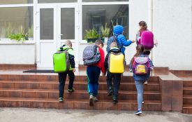 Школи мають оновити правила доступу: заборонили вхід з тваринами і встановили порядок візитів батьків