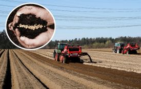Тернопільщина — в ТОПі лідерів весняної посівної в Україні