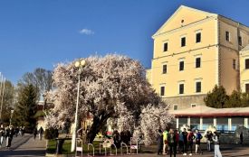 Таємниці замку і велич Катедри: у Тернополі стартує сезон травневих екскурсій