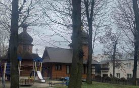 У Старому парку зріжуть чотири аварійні дерева