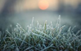 На Тернопільщині оголосили помаранчевий рівень небезпеки через заморозки