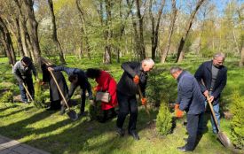 У Сопільче висадили 13 туй в знак пам'яті про працівників, які загинули на виробництві
