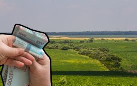 У ТОП-5 найдорожчих: скільки на Тернопільщині вартує гектар сільськогосподарської землі