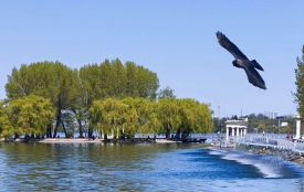 Тернопіль оновив температурний рекорд, що тримався понад пів століття