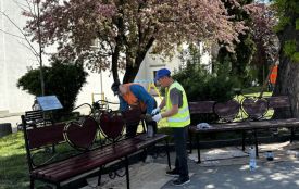 У центрі Тернополя та парку Шевченка фарбували лавки