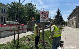 У центрі встановили знаки, які забороняють рух електросамокатів та скутерів