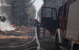У Чорнобильській зоні відчуження після падіння безпілотника — масштабна пожежа