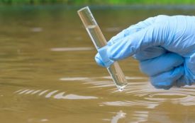 Заборонили купатися у Касперівцях і Заліщиках через якість води