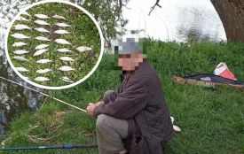 Збитків та штрафів на майже мільйон гривень нарахували за незаконний вилов риби на Тернопільщині