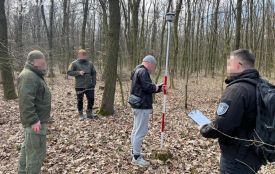 Двох посадовців обвинувачують у незаконній вирубці дерев на Тернопільщині майже на 2 млн грн