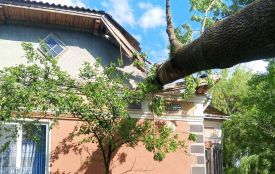 Через негоду дерево впало на житловий будинок в Козівській громаді