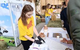 Дегустація з шансом виграти iPhone: на фестивалі в Агроленді порівнюють молоко двох порід корів