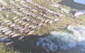 За вилов риби сітками на річці Серет двоє жителів Чортківського району відповідатимуть перед судом