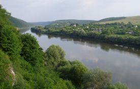 У Сереті в межах Чорткова виявили небезпечні забруднення: купатись не рекомендують