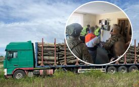 Дерева держустановам за «схемою»: на Тернопільщині викрили шахрайство на 1,2 млн грн