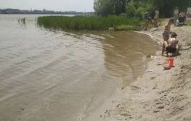 Де безпечно купатися на пляжах Тернопільщини