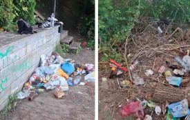Купи пакетів, пляшок та обрізаних гілок: тернополянин скаржиться на засмічення прибережної зони Ставу
