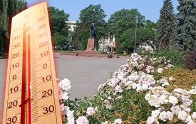 Вище історичного максимуму: третій день поспіль у Тернополі фіксують температурні рекорди