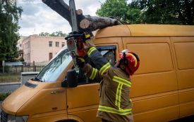 На Протасевича рятувальники звільнили автомобіль від поваленого дерева
