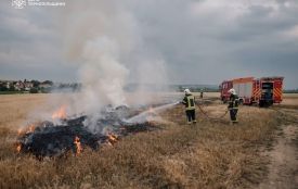 На Тернопільщині ліквідували пожежу на полі зернових, яку спричинив удар блискавки