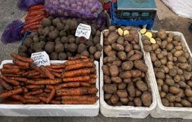 Коли за продаж картоплі, кабачків та помідорів з городу доведеться платити податок