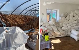 На Чортківщині викрили незаконне виробництво тютюну: вилучили 3,3 тони