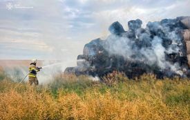 На Кременеччині загорілася солома: вогнь міг перекинутися на 190 гектарів ріпаку
