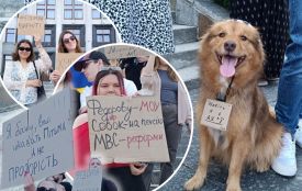«Картонкою обороняю Міністерство оборони»: що написали на плакатах учасники акції на підтримку Федорова