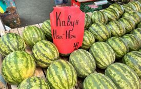 Від кавунів до цвітної капусти: які ціни на сезонні продукти в Тернополі
