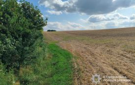 На польовій дорозі травмувався неповнолітній мотоцикліст з Чортківщини
